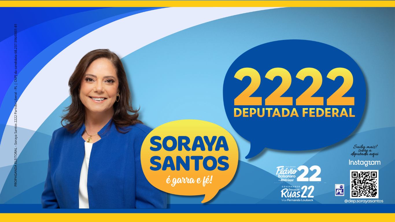 Soraya Santos 2222, Deputada Federal